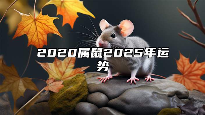 2020属鼠2025年运势