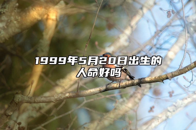 1999年5月20日出生的人命好吗 姻缘婚姻,事业人生发展