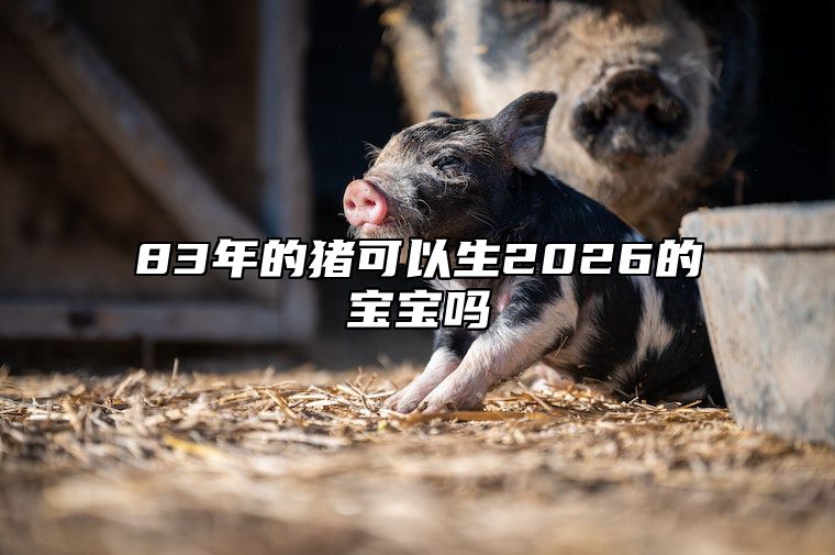 83年的猪可以生2026的宝宝吗 83年的猪2022年生宝宝好吗