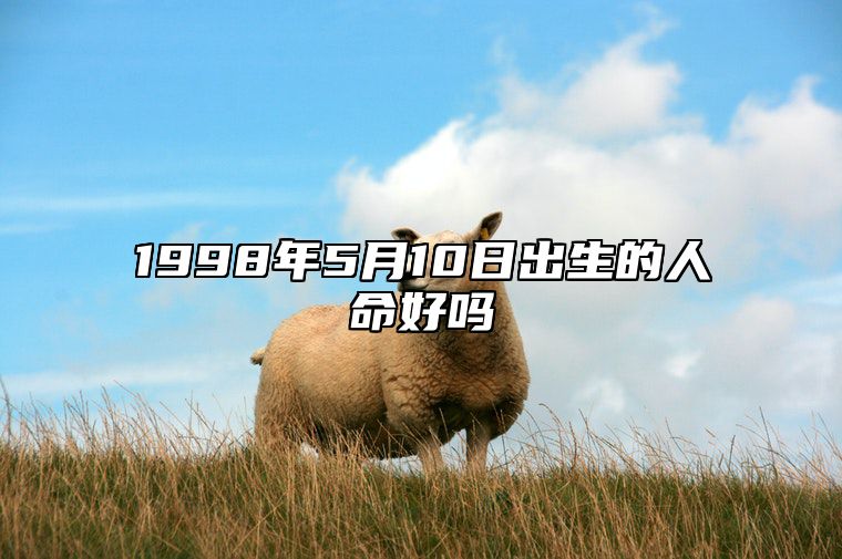 1998年5月10日出生的人命好吗 生辰八字解析