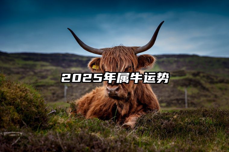 2025年属牛运势 2025年不同年份的属牛人流年运程