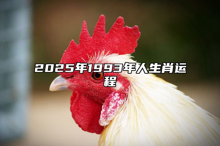 2025年1993年人生肖运程 93年生肖鸡20230年运势