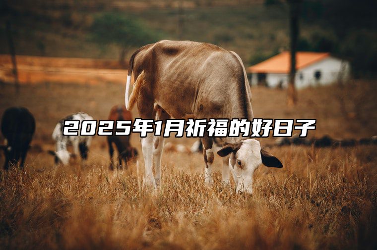 2025年1月祈福的好日子 是祈福的吉日吗？