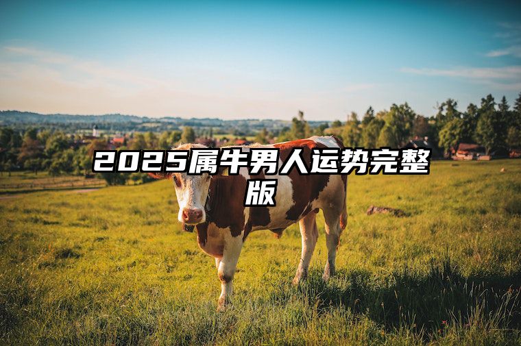 2025属牛男人运势完整版 生肖牛2025年运势