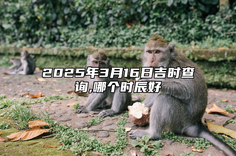 2025年3月16日吉时查询,哪个时辰好 老黄历查询