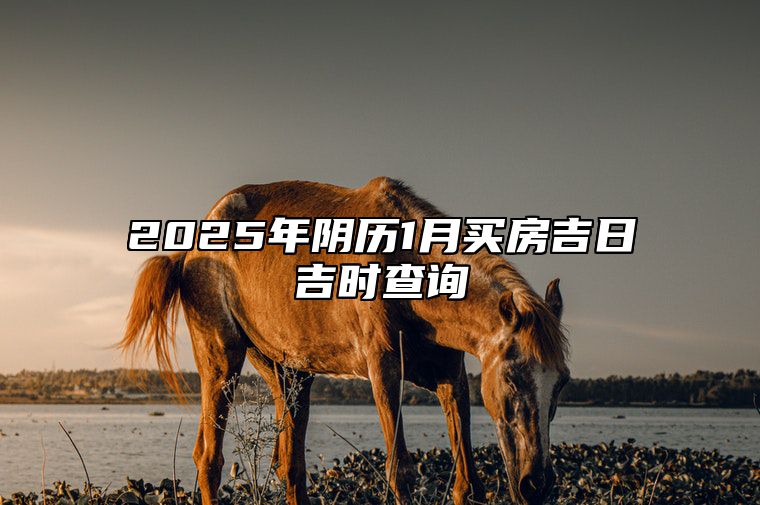 2025年阴历1月买房吉日吉时查询 今日买房黄历查询详解