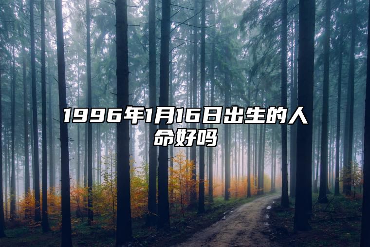 1996年1月16日出生的人命好吗 生辰八字五行解析