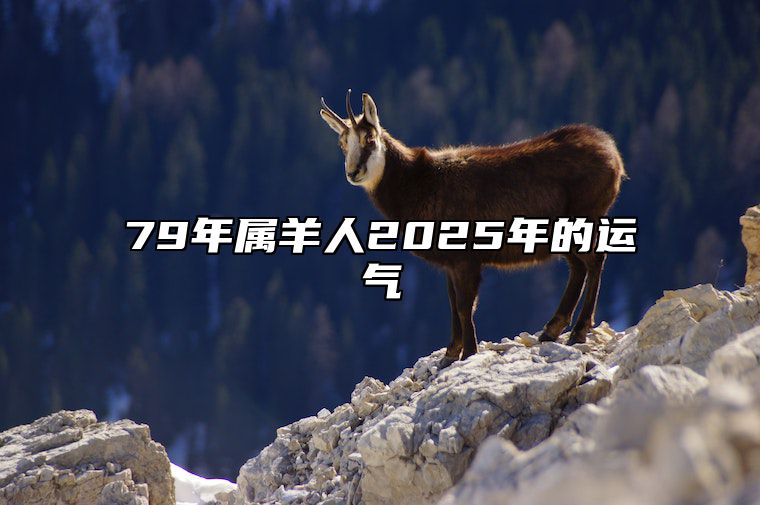 79年属羊人2025年的运气 属羊人2025年全年运势 1979年羊年每月牌运