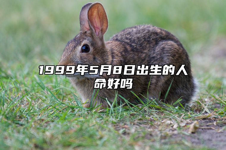 1999年5月8日出生的人命好吗 生辰八字运势查询