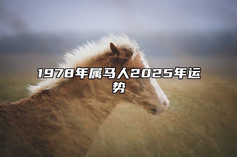 1978年属马人2025年运势 1978年属马人2025年运势及运程详解