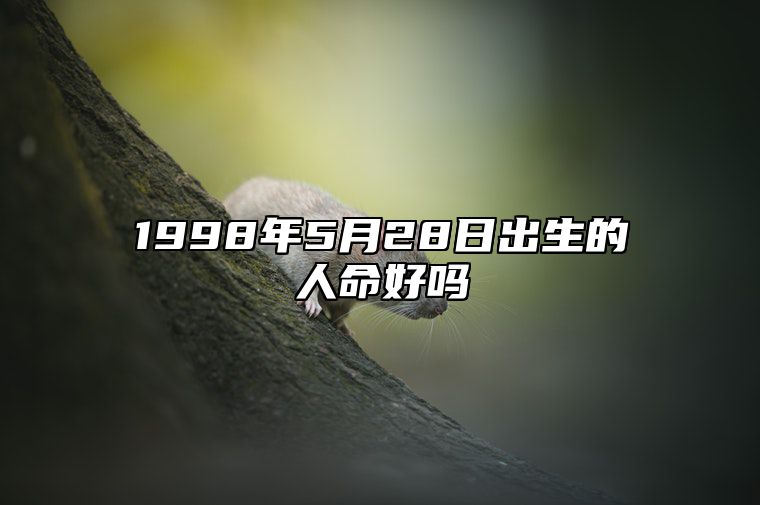 1998年5月28日出生的人命好吗 生辰八字查询