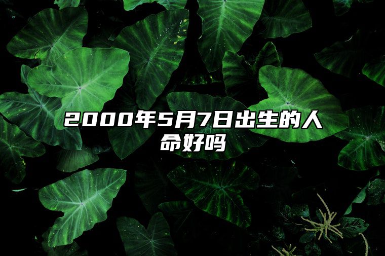 2000年5月7日出生的人命好吗 八字五行解析