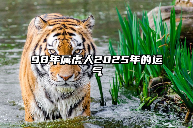 98年属虎人2025年的运气 98年属虎人2023年运势