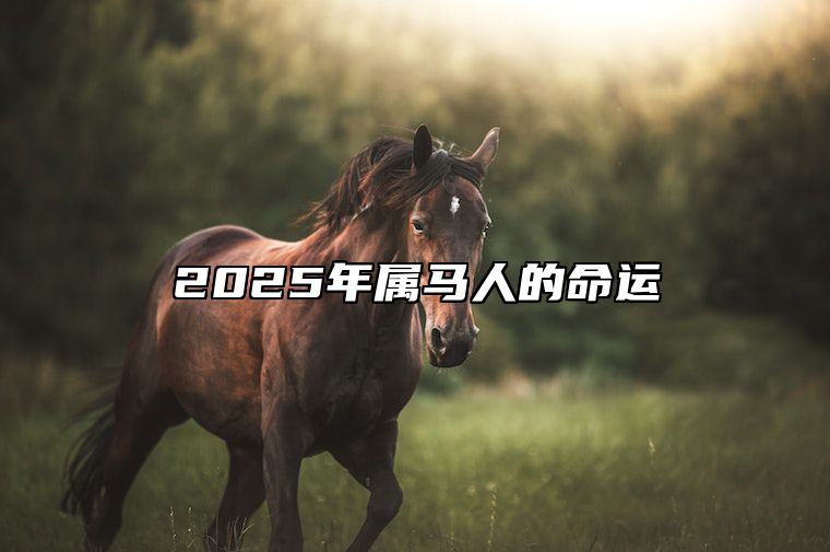 2025年属马人的命运 2025年属马人的命运如何