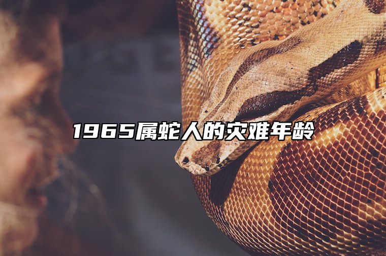 1965属蛇人的灾难年龄 1965属蛇的今年下半年的运气