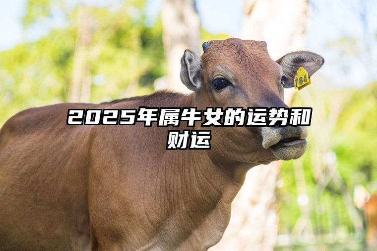 2025年属牛女的运势和财运