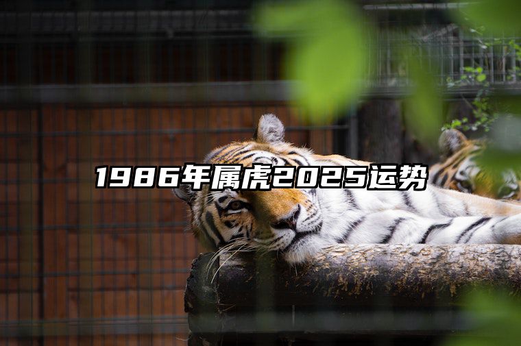 1986年属虎2025运势 1986年属虎2025运势及运程