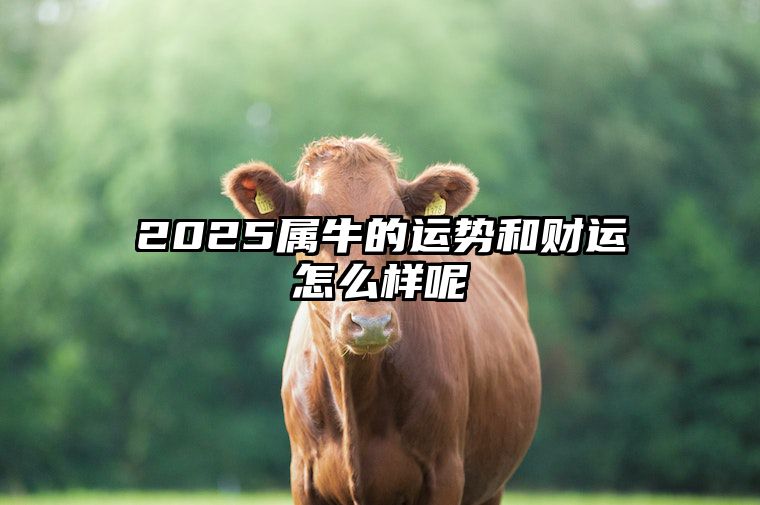 2025属牛的运势和财运怎么样呢 2025属牛人的全年运势如何