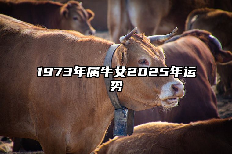 1973年属牛女2025年运势 1973年属牛女2025年运势怎么样