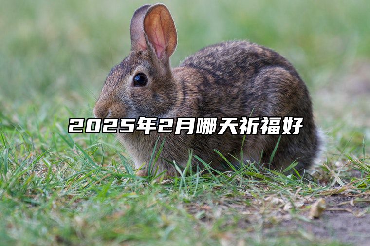 2025年2月哪天祈福好 今日祈福黄道吉日查询