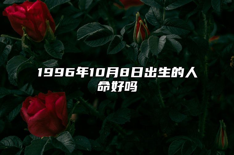 1996年10月8日出生的人命好吗 生辰八字运势、婚姻、事业分析