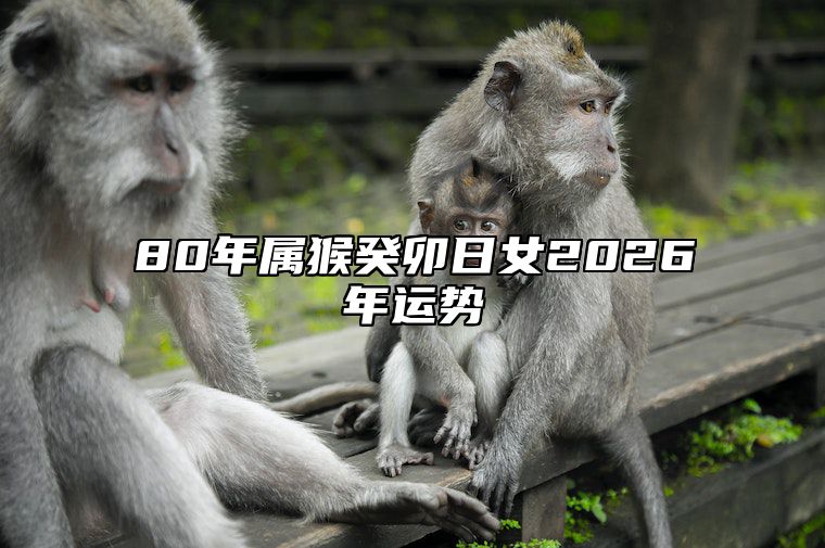 80年属猴癸卯日女2026年运势 80年属猴女2023年运势每月运势