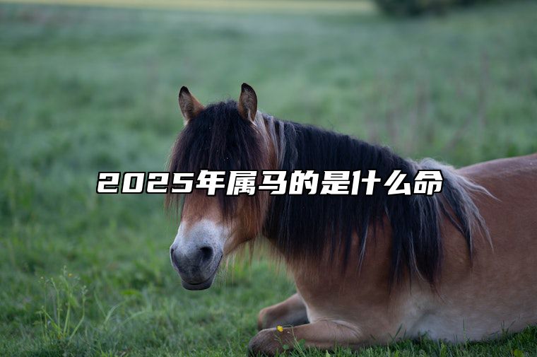 2025年属马的是什么命 78年马2024年属马人全年运势