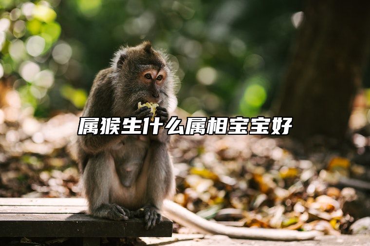 属猴生什么属相宝宝好 属鼠和属猴生什么属相宝宝好