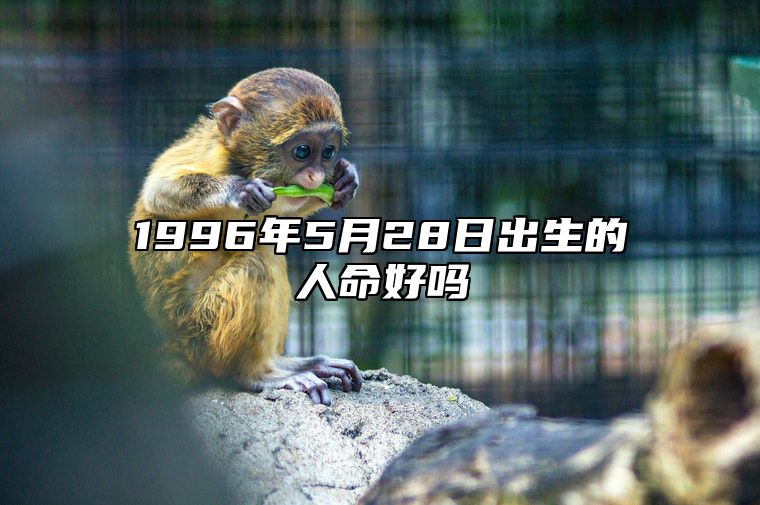 1996年5月28日出生的人命好吗 姻缘婚姻,八字事业人生发展