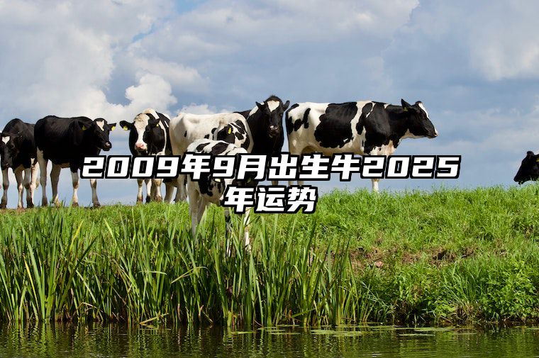 2009年9月出生牛2025年运势 2009年出生属牛人2021年全年运势详解