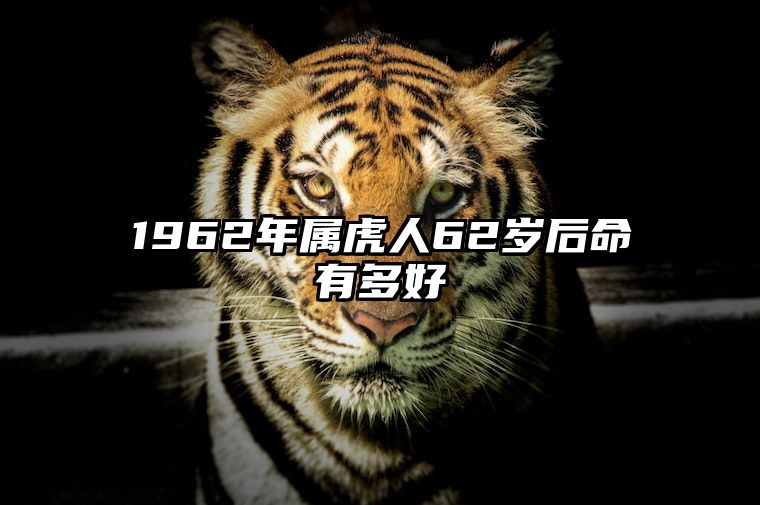 1962年属虎人62岁后命有多好 62年属虎的人能活多少岁