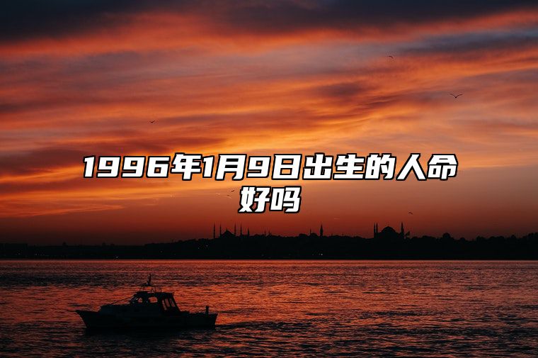 1996年1月9日出生的人命好吗 今日生辰八字查询