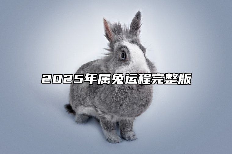 2025年属兔运程完整版 2025年属兔人的全年每月