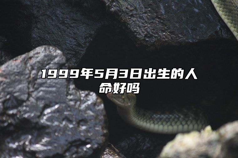 1999年5月3日出生的人命好吗 是什么命,五行缺什么