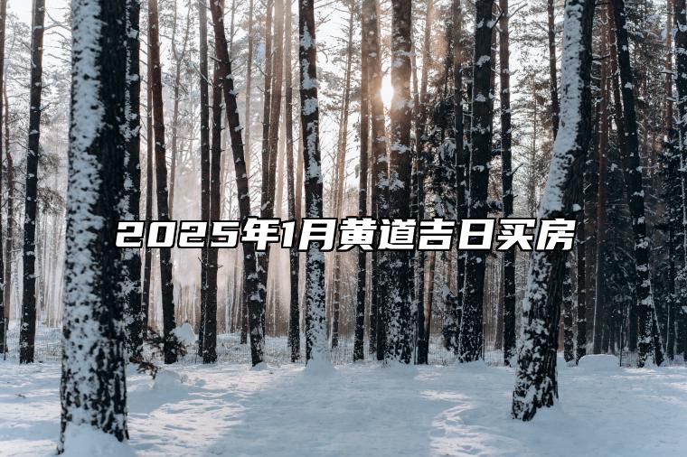 2025年1月黄道吉日买房 适合买房吗？