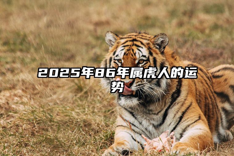 2025年86年属虎人的运势 1986年属虎2025年运势及运程