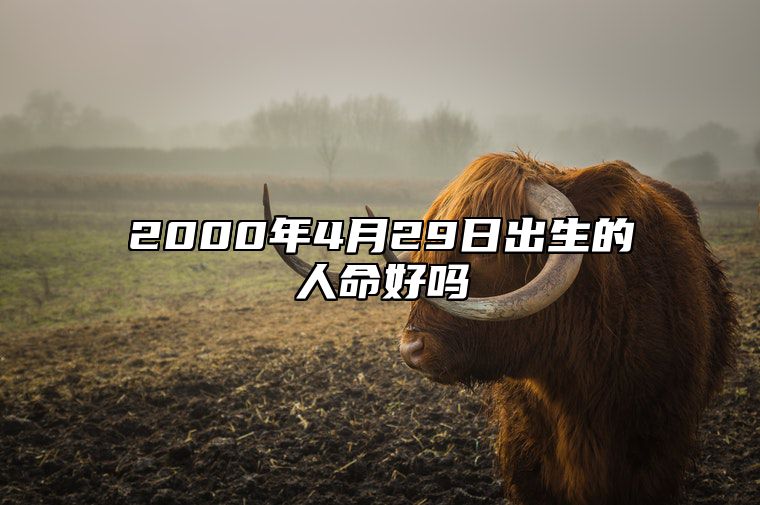 2000年4月29日出生的人命好吗 事业财运_发展_婚姻详解