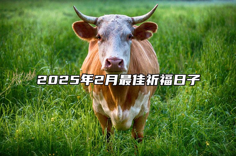 2025年2月最佳祈福日子 祈福吉日查询