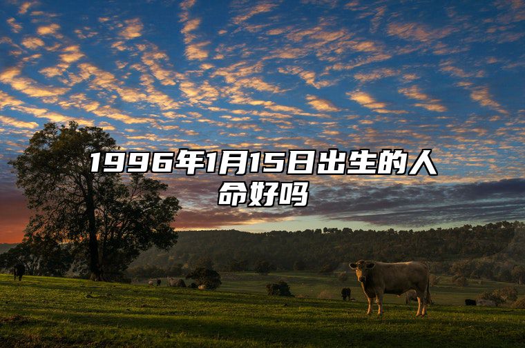 1996年1月15日出生的人命好吗 八字事业、婚姻、事业运势详解