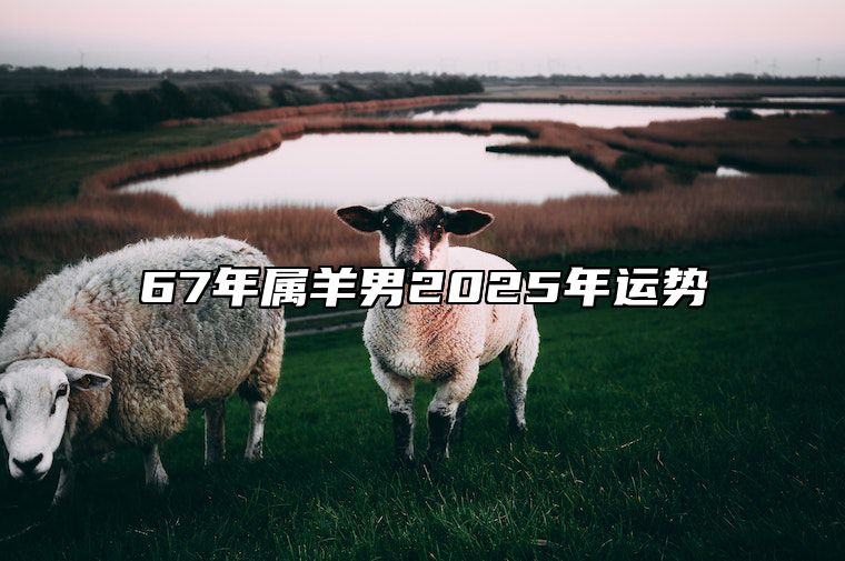 67年属羊男2025年运势 67年属羊男2025年运势每月运程