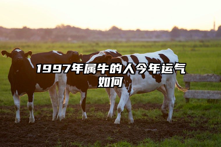 1997年属牛的人今年运气如何 1997年属牛的人今年运势如何