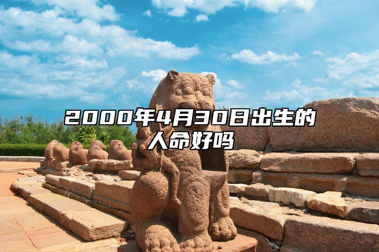 2000年4月30日出生的人命好吗 不同时辰八字运势详解