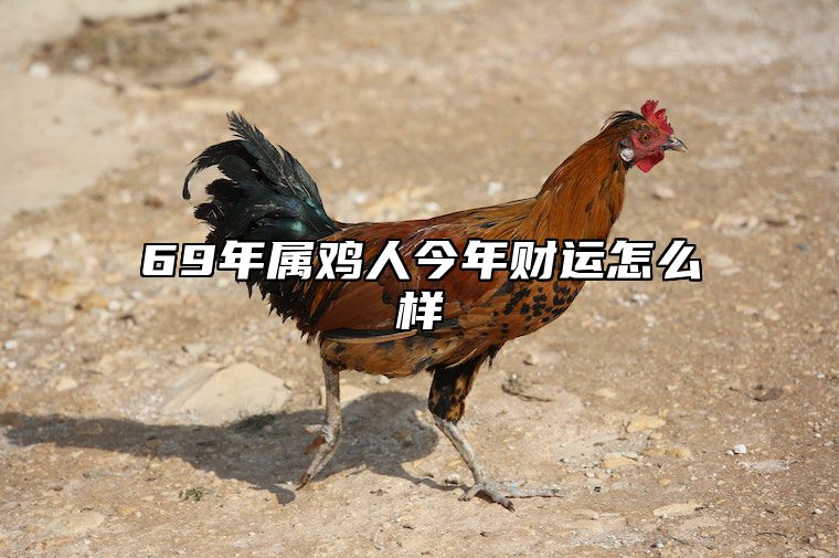 69年属鸡人今年财运怎么样 69年属鸡的今年运气如何