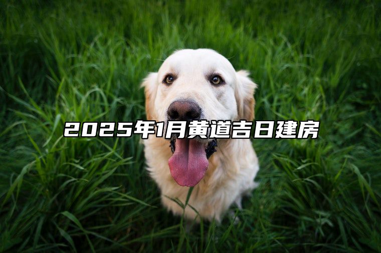 2025年1月黄道吉日建房 建房吉日查询