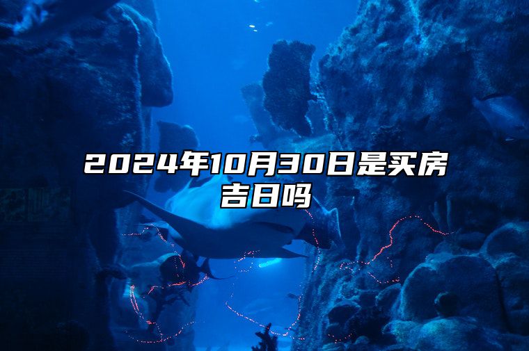 2024年10月30日是买房吉日吗 老黄历查询