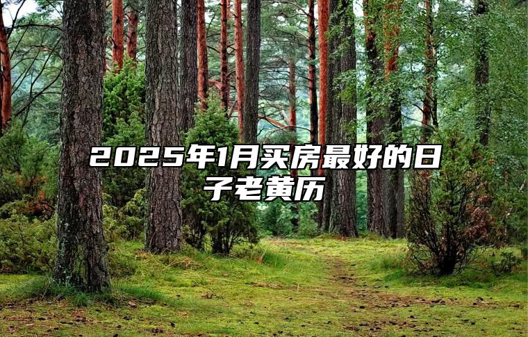 2025年1月买房最好的日子老黄历 适合买房吗？