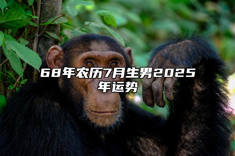 68年农历7月生男2025年运势 68年七月出生命运如何