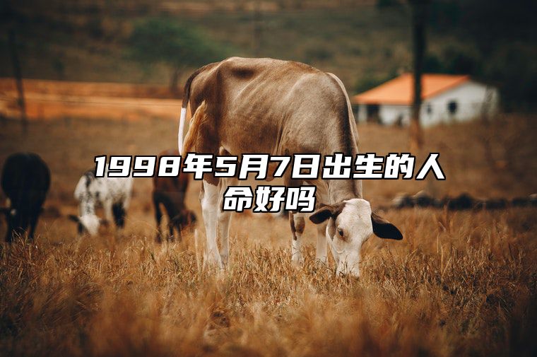 1998年5月7日出生的人命好吗 今日不同时辰生辰八字解析