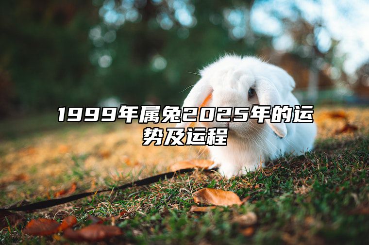 1999年属兔2025年的运势及运程 1999年属兔未来五年的运势