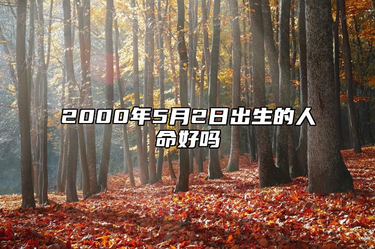 2000年5月2日出生的人命好吗 生辰八字查询